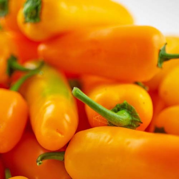 Fresh organic Jalapeno Yellow Chillies 1kg